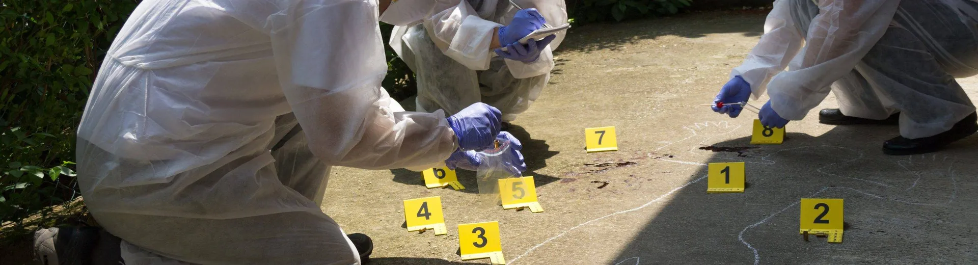 Forensics team building activity