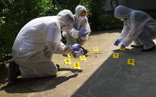 Team building murder mystery